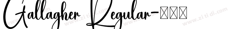 Gallagher Regular字体转换